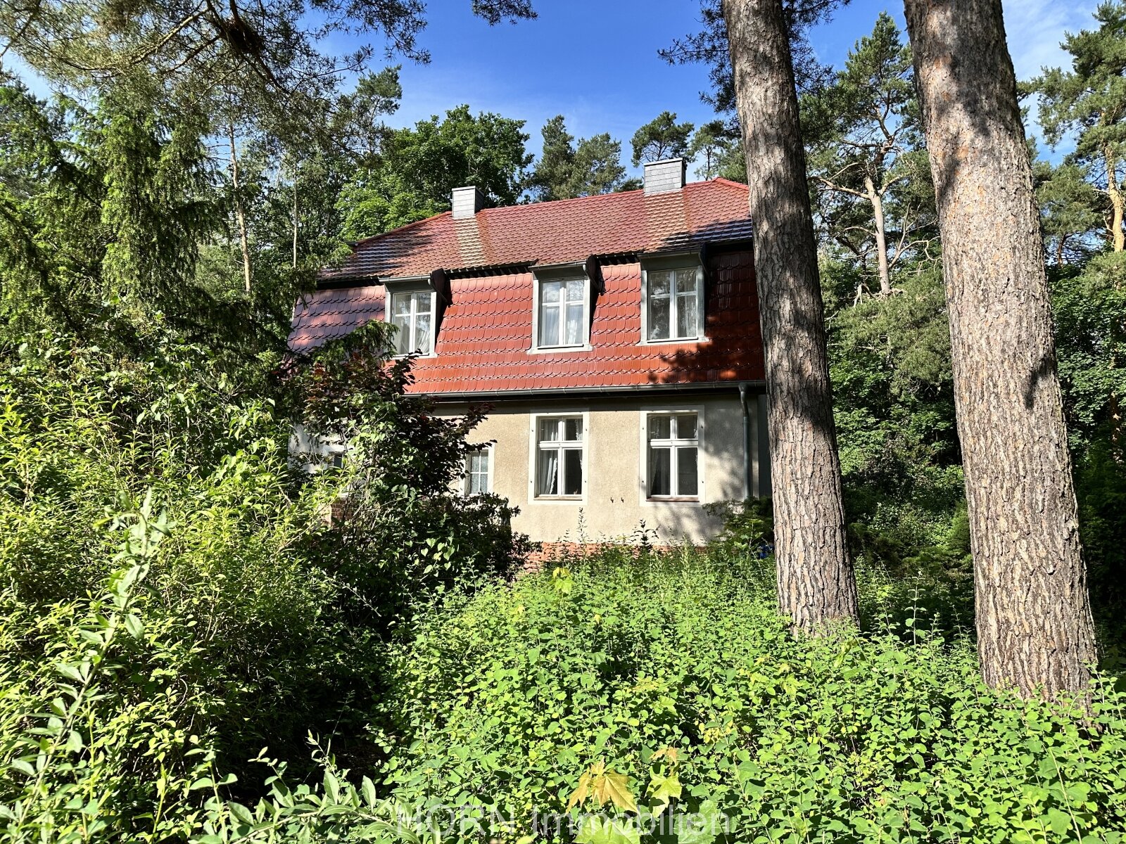 Malerisches Einfamilienhaus auf waldähnlichen Grundstück mit Zugang zum Rhin 