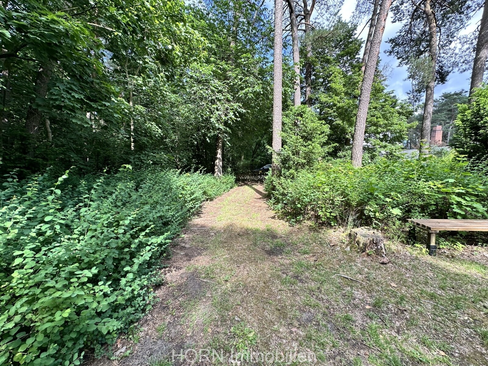 Malerisches Einfamilienhaus auf waldähnlichen Grundstück mit Zugang zum Rhin 