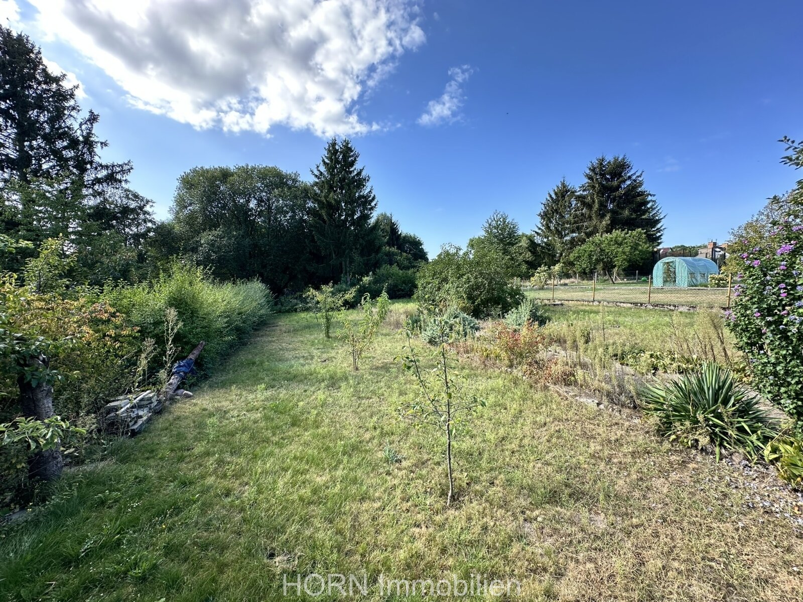 Grundstück/ Garten Grundstück/ Garten
